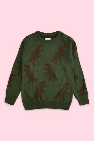 green-patterned-casual-full-sleeves-crew-neck-boys-regular-fit-sweater