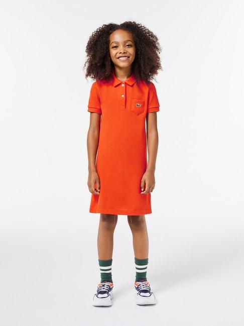 lacoste-kids-orange-solid-polo-dress