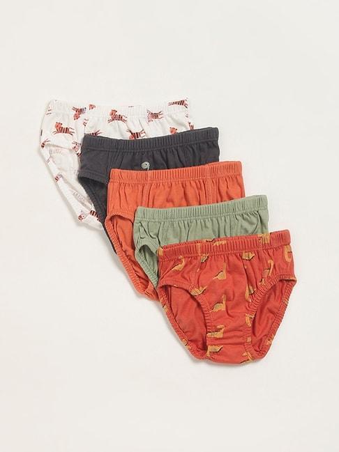 hop-kids-by-westside-multicolour-assorted-cotton-briefs---pack-of-5