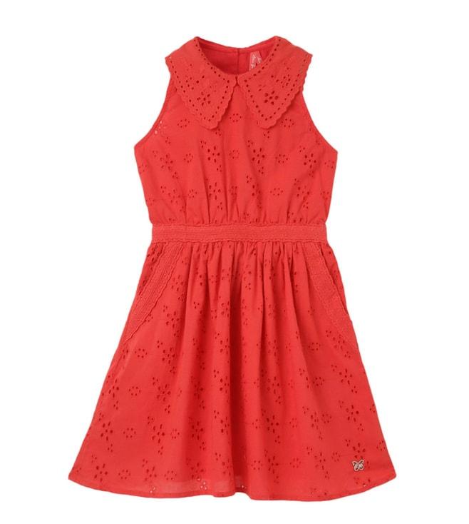 blue-giraffe-kids-coral-embroidered-flared-fit-dress