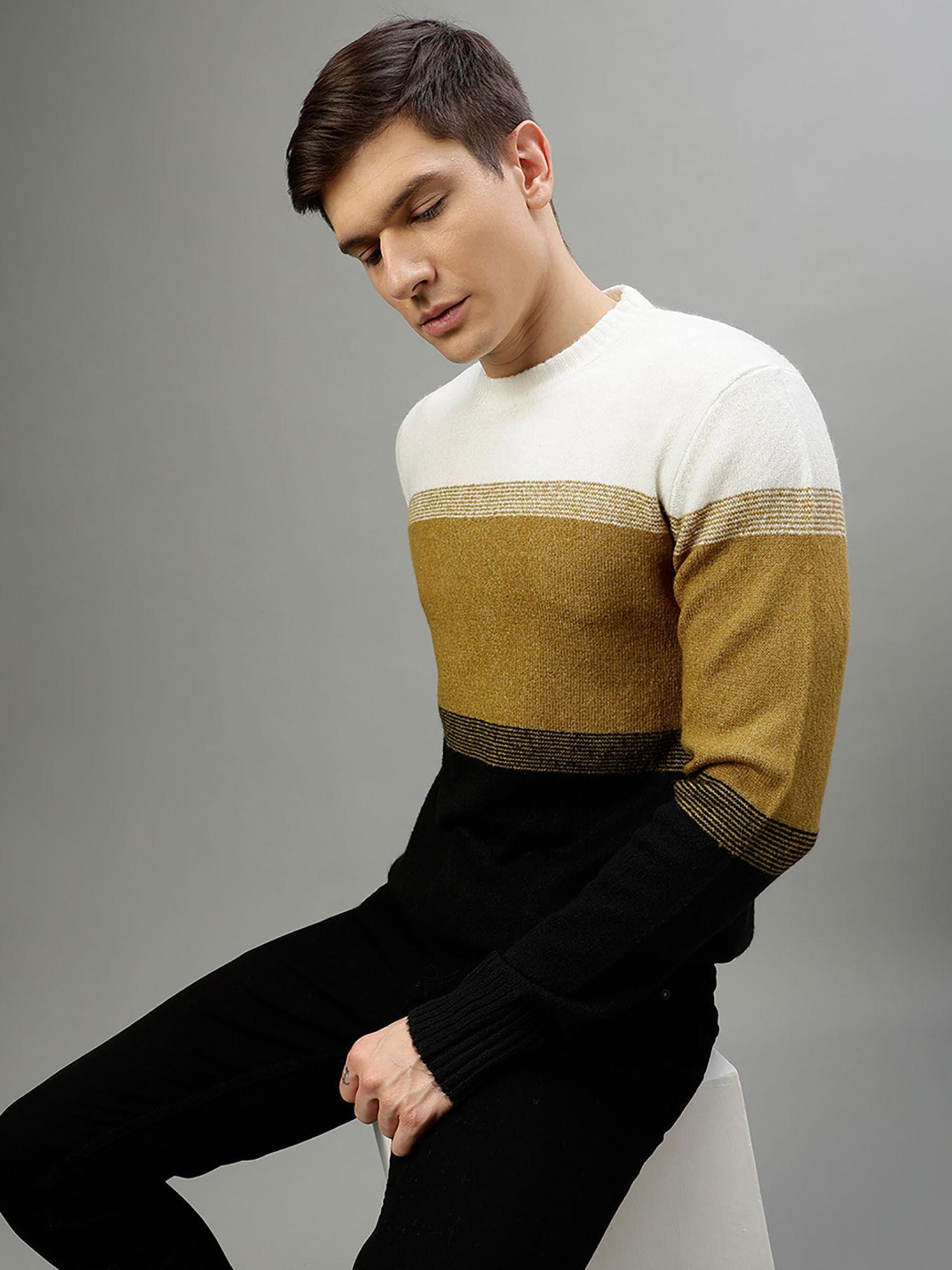 Men Colorblocked High Neck Full Sleeves Sweater