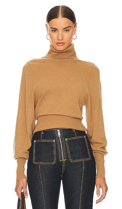 aren-cashmere-turtleneck-sweater