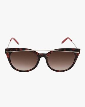 women-full-rim-cat-eye-sunglasses-ck-4362-617-54-s
