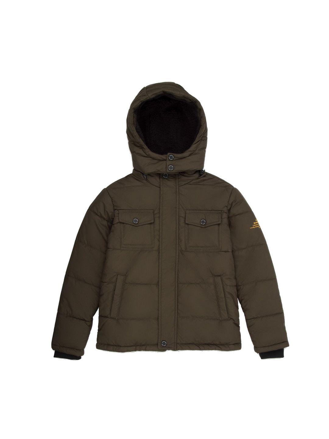 Status Quo Boys Olive Green Padded Jacket