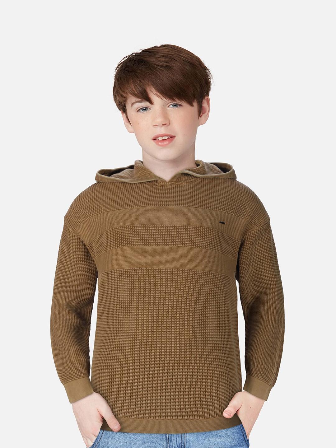 Gini and Jony Boys Brown Hooded Pullover