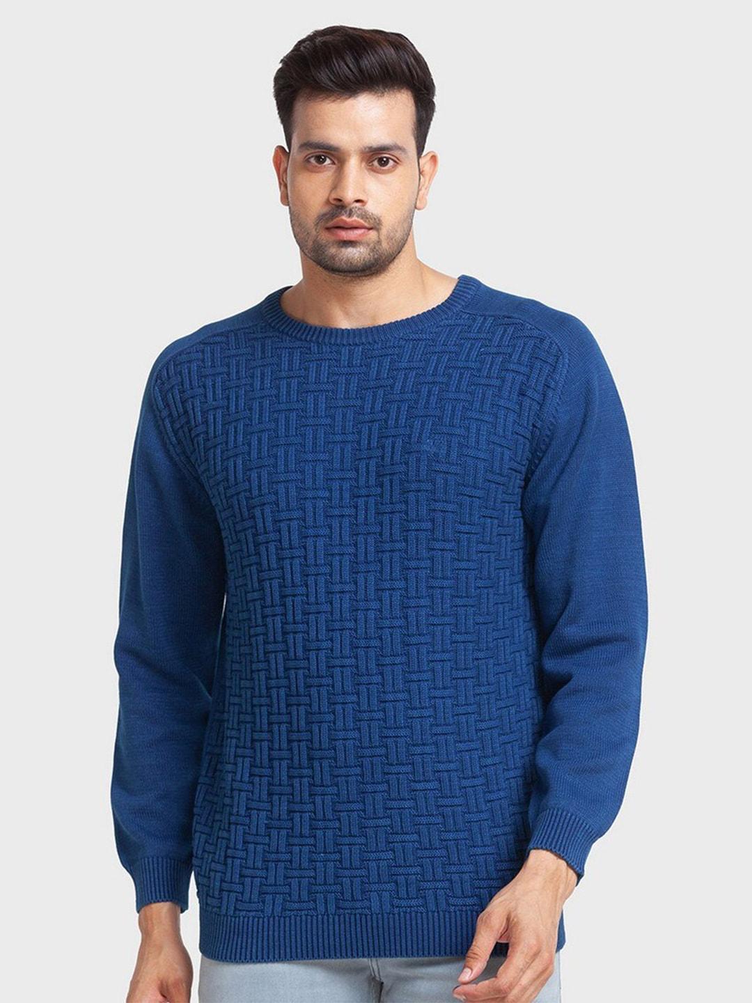 ColorPlus Men Plus Size Blue Pullover