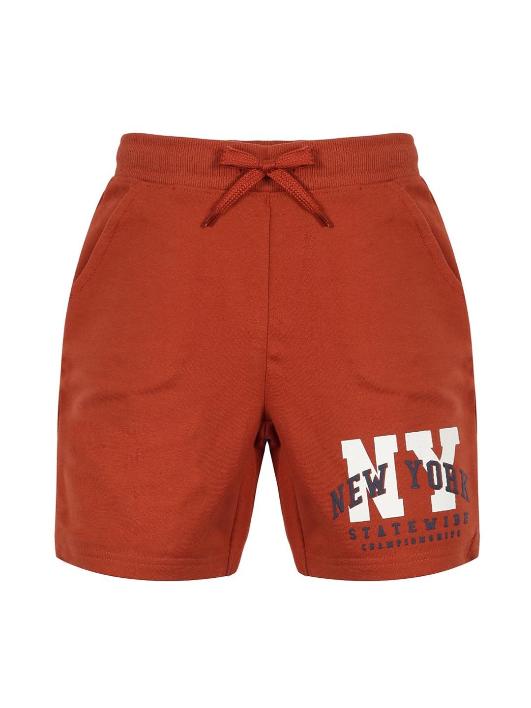 PLUM TREE Boys Regular-Fit Cotton Printed Shorts
