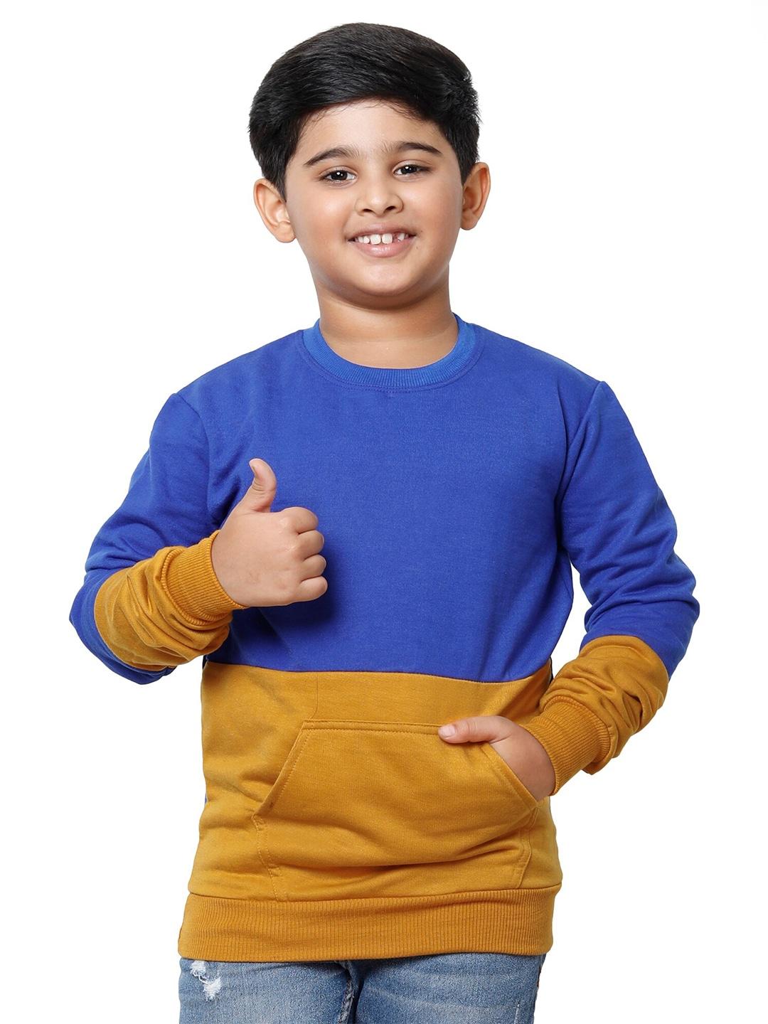 IndiWeaves Boys Colourblocked Sweatshirt