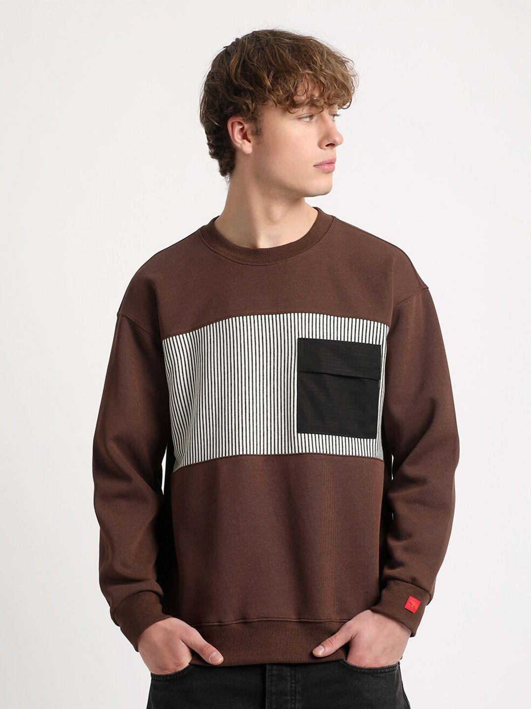the-bear-house-men-brown-colourblocked-sweatshirt
