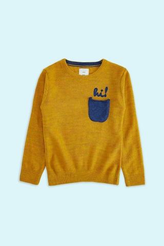 yellow-solid-casual-full-sleeves-crew-neck-boys-regular-fit-sweater