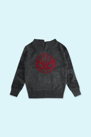 charcoal-printed-casual-full-sleeves-regular-hood-boys-regular-fit-sweater
