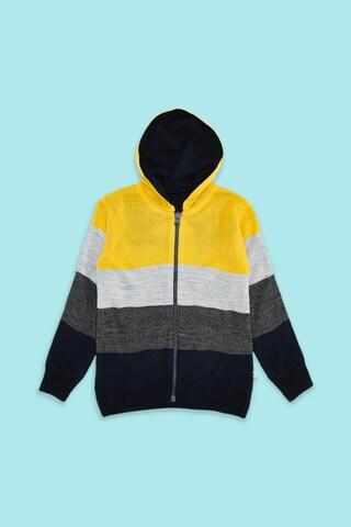 yellow-stripe-casual-full-sleeves-regular-hood-boys-regular-fit-sweater