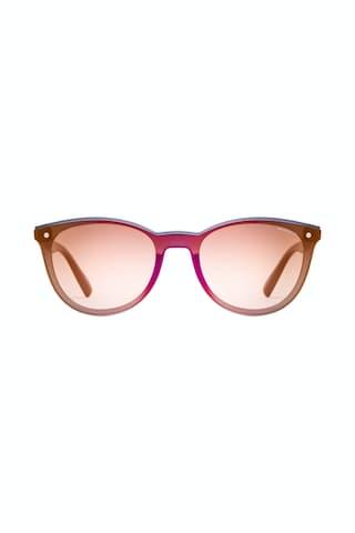 Brown and Pink Sunglasses