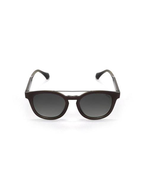 Enrico Eyewear Brown Wayfarer Unisex Sunglasses