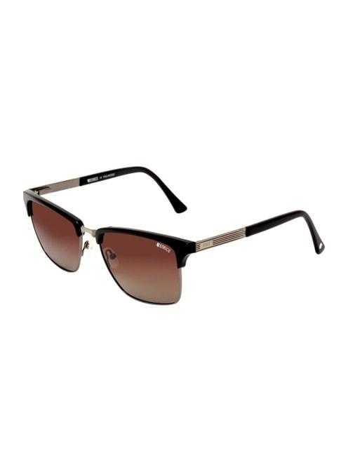 Enrico Eyewear Brown Clubmaster Unisex Sunglasses