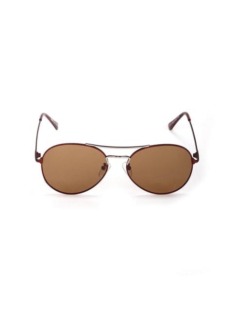 Enrico Eyewear Brown Round Unisex Sunglasses