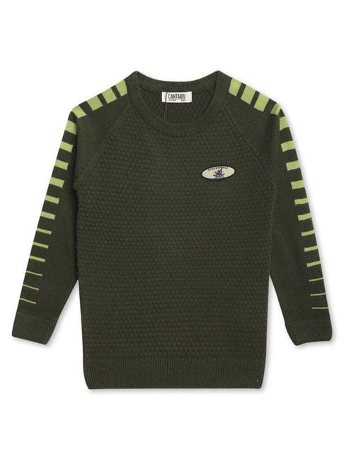 Cantabil Kids Green Self Pattern Full Sleeves Sweater