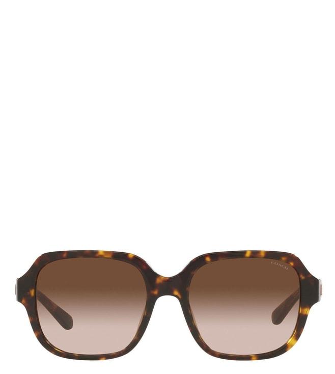 Coach 0HC8335U51201353 Brown CREATIVE CLASS UV Protection Square Sunglasses for Women