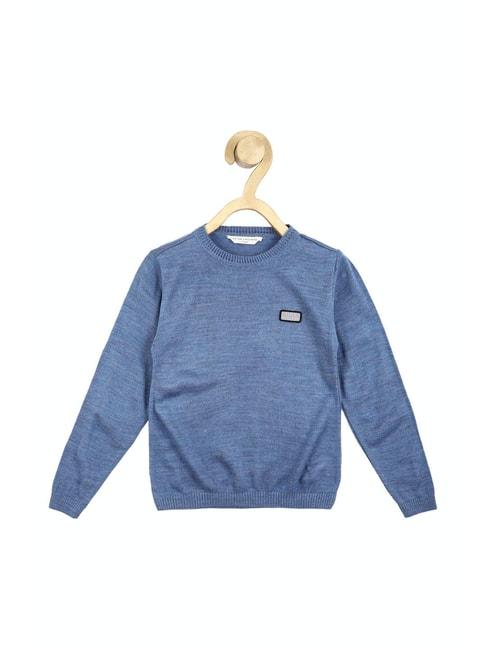 peter-england-kids-blue-textured-full-sleeves-sweater
