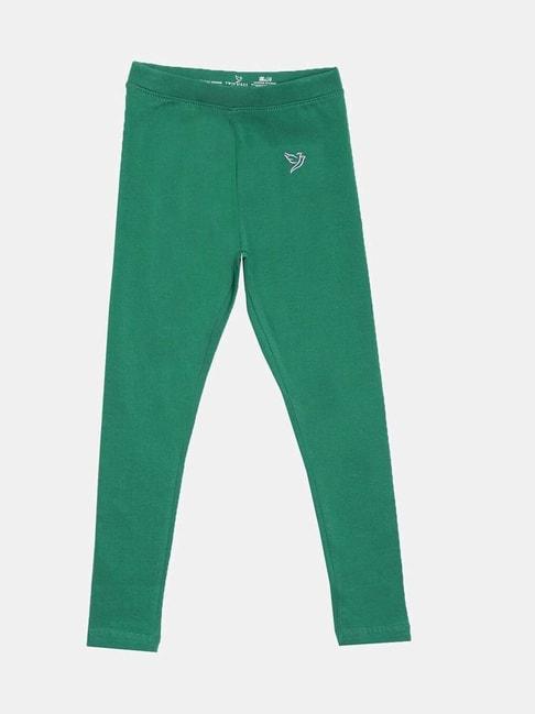 twin-birds-kids-green-cotton-regular-fit-leggings