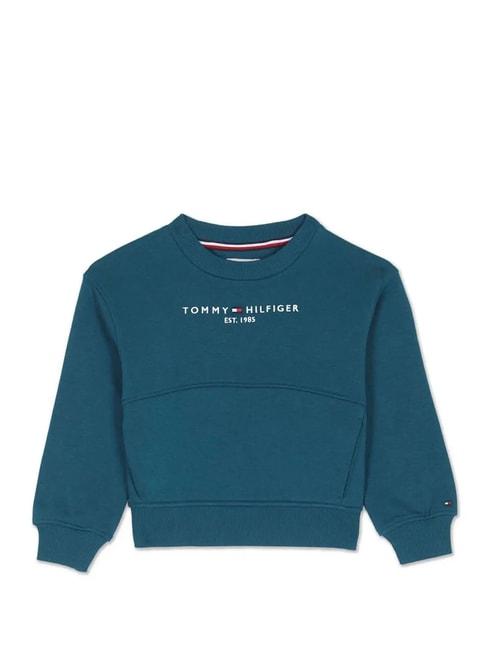 Tommy Hilfiger Kids Blue Solid Sweatshirt