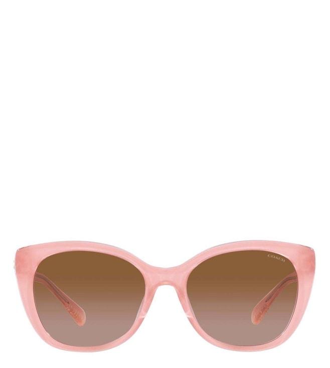 Coach 0HC8365U57431355 Brown Gradient Cat Eye Sunglasses for Women