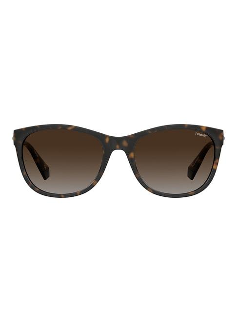 Polaroid Brown Cat Eye Sunglasses for Women
