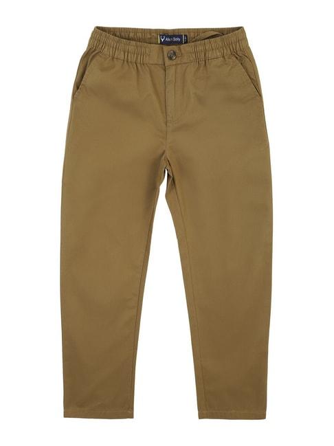 Allen Solly Junior Brown Solid Trousers