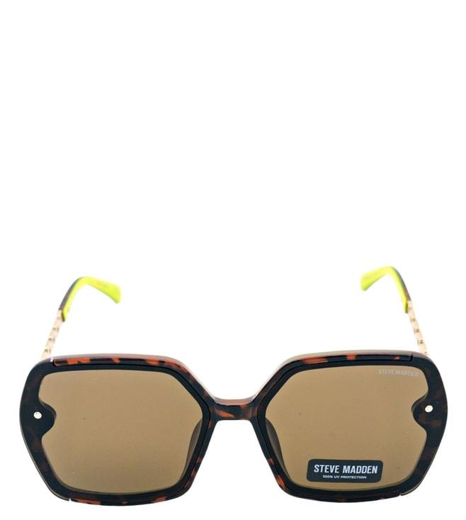 Steve Madden X17014 Brown UV Protected Butterfly Sunglasses for Women