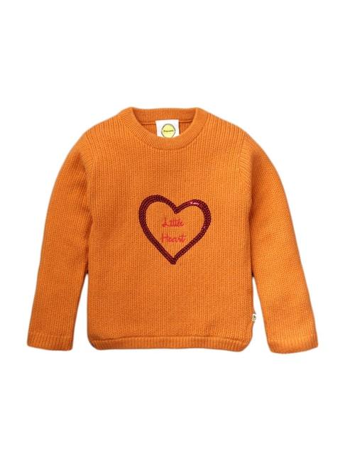 Pranava Kids Orange Cotton Embellished Sweater